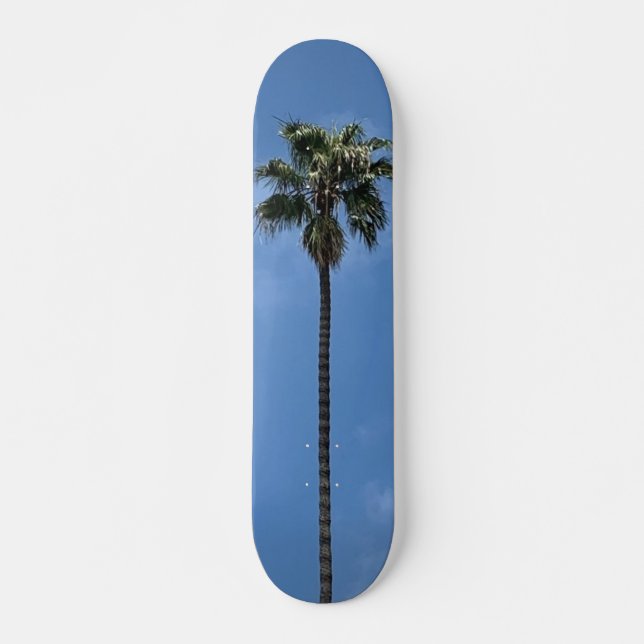 Skateboard Palmier du ciel bleu (Devant)