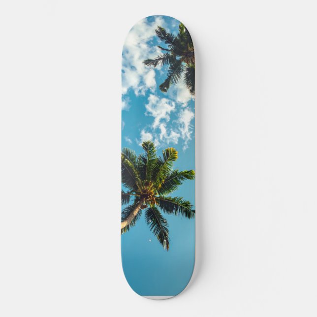 Skateboard Palmier sur ciel bleu (Recto)