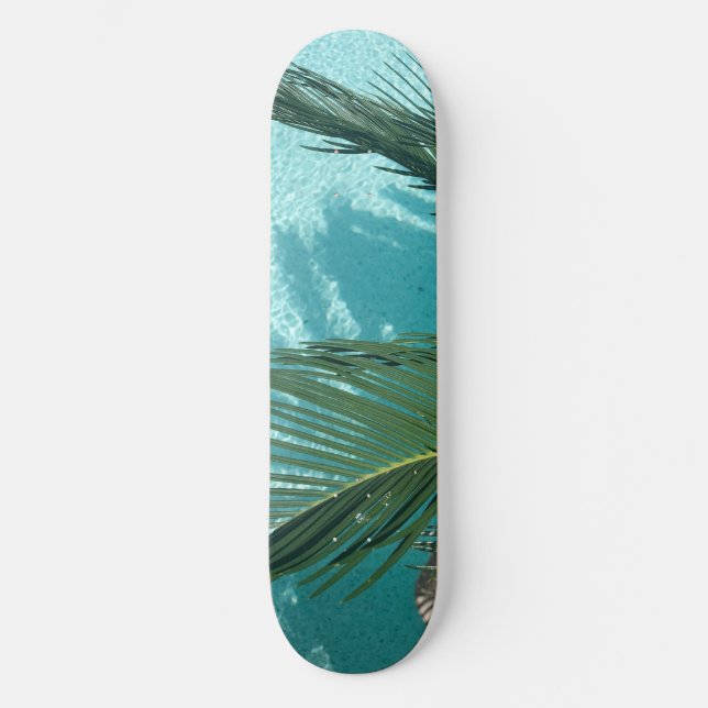 Skateboard palmier sur l'eau (Recto)