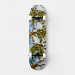 Skateboard Palmiers à noix de coco (Cocos nucifera) se balanç