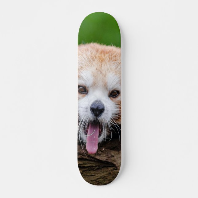 Skateboard Panda rouge (Devant)