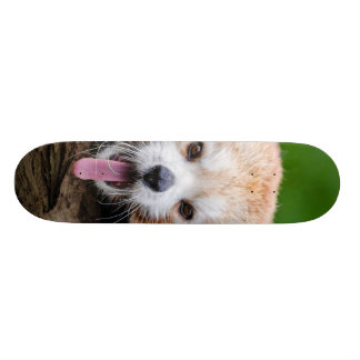 Skateboard Panda rouge