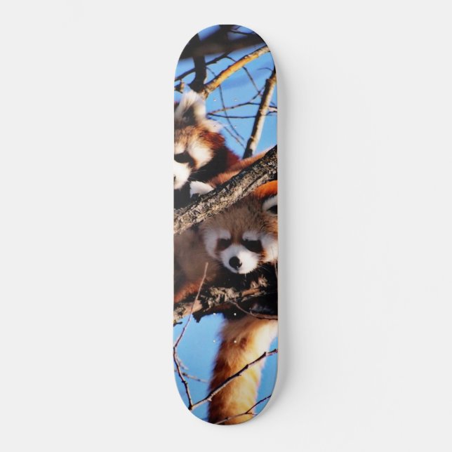 Skateboard pandas rouges (Recto)