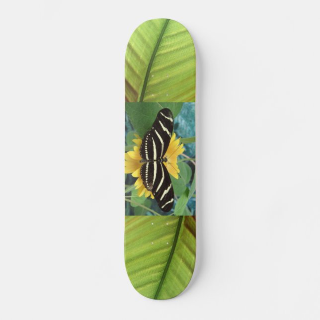Skateboard Panneau de beurre (Recto)