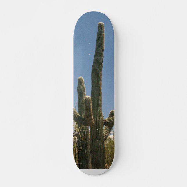 Skateboard Panneau de patin de cactus de Saguara (Devant)