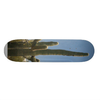 Skateboard Panneau de patin de cactus de Saguara