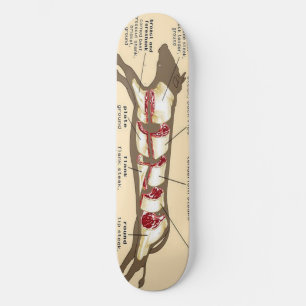 Skateboard Panneau Mobber de viande