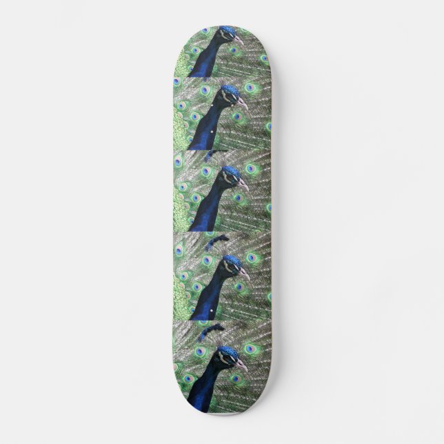 SKATEBOARD PAON (Recto)