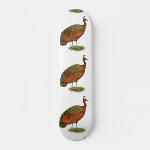 Skateboard Paon : Congo Peahen