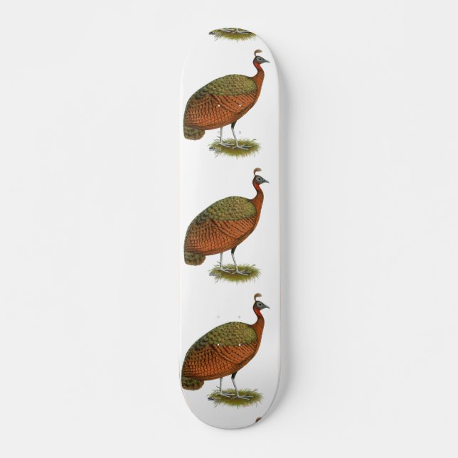Skateboard Paon : Congo Peahen (Devant)