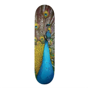 Skateboard Paon majestueux avec les plumes turquoises de bleu
