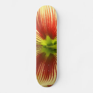 Skateboard Papillon Amaryllis