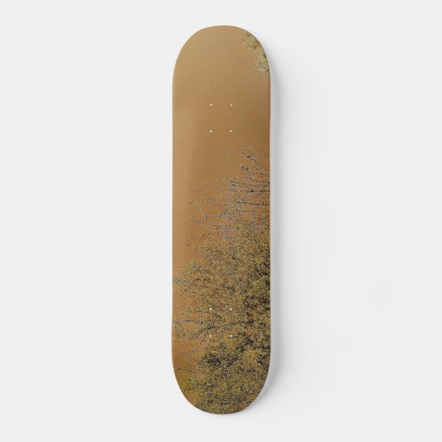 Skateboard Patinage (Recto)