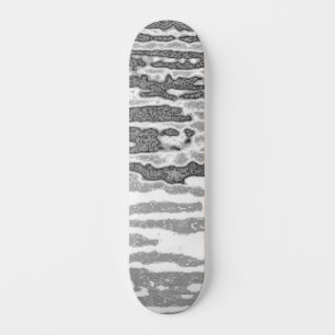 Skateboard Patinage