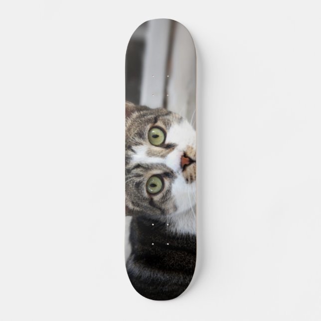 Skateboard Patinage (Recto)