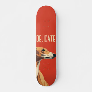 Skateboard Patinage