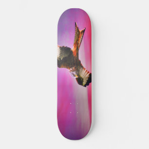 Skateboard Patinage