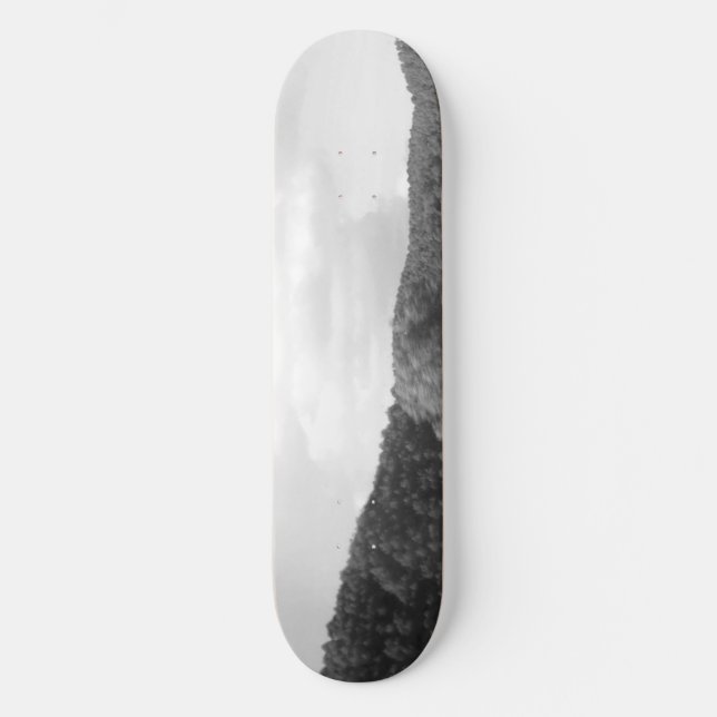 Skateboard Patinage (Recto)