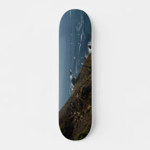 Skateboard Patinage