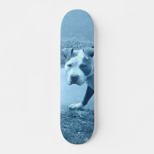 Skateboard Patinage Blue Pit Bull