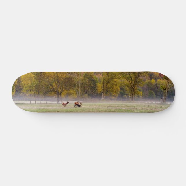 Skateboard Patinage Couple Elk (Horz)