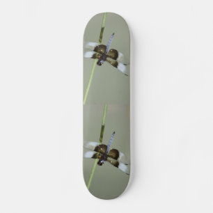Skateboard Patinage de libellules