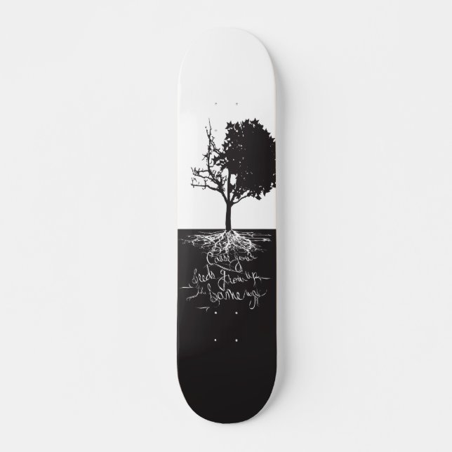 Skateboard Patinage Hip hop (Devant)