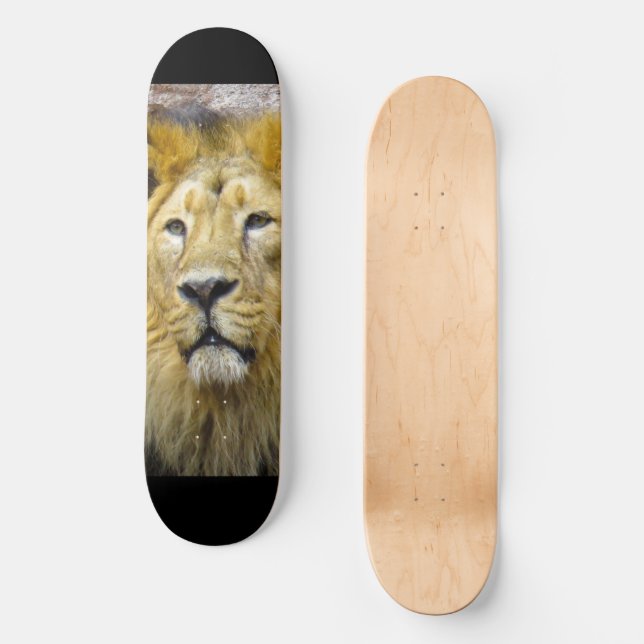 Skateboard Patinage Lion (Recto)