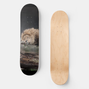 Skateboard Patinage Lion