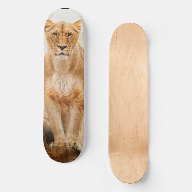 Skateboard Patinage Lion (Recto)