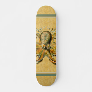 Skateboard Patinage Octopus