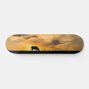 Skateboard Patinage Silhouette Sunset de bovins