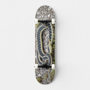 Skateboard Patinage Snake 7¾"