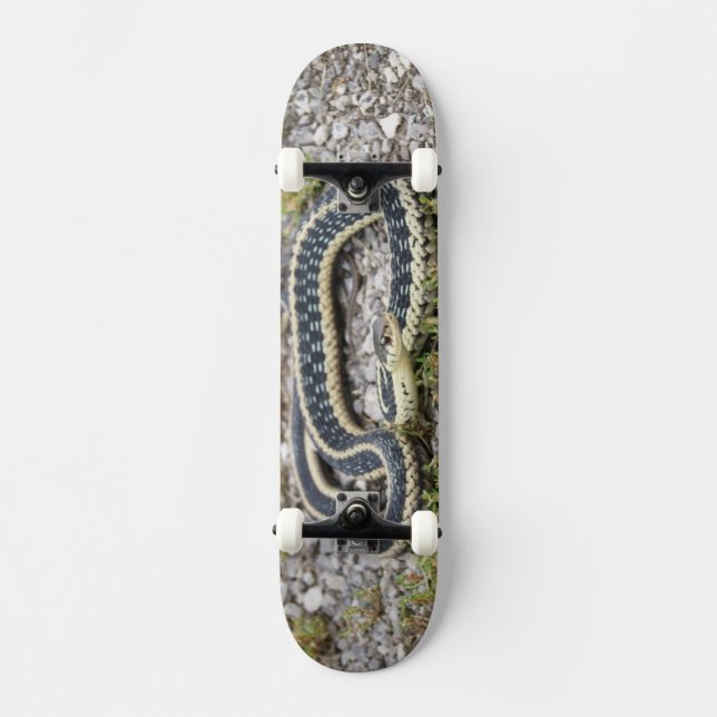 Skateboard Patinage Snake 7¾" (Recto)
