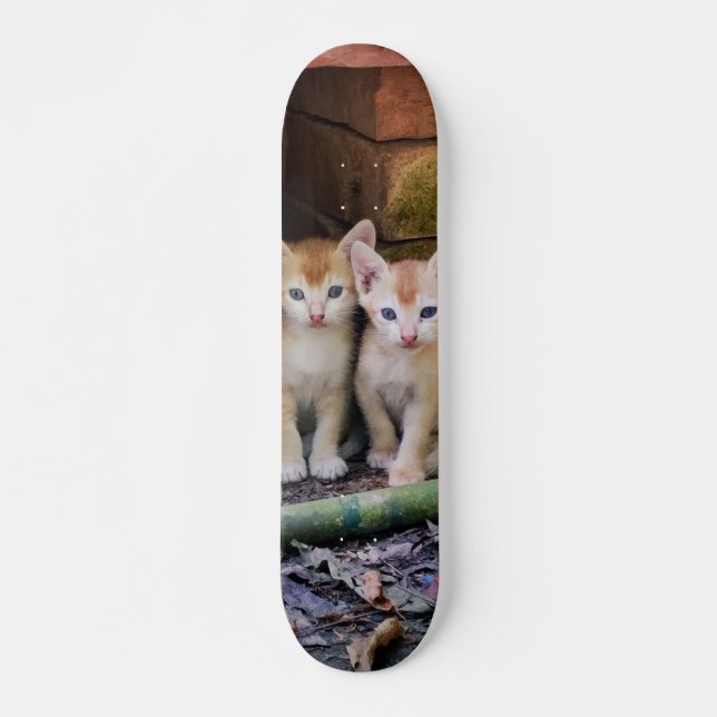 Skateboard Patineta Dos Gaticos Hermanos Atentos (Devant)