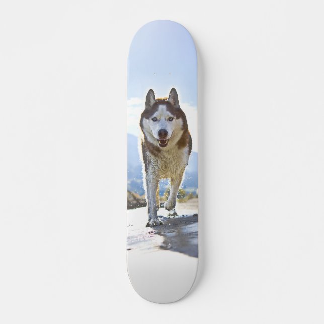 Skateboard Patineta Enérgico Husky Siberiano Caminando (Devant)