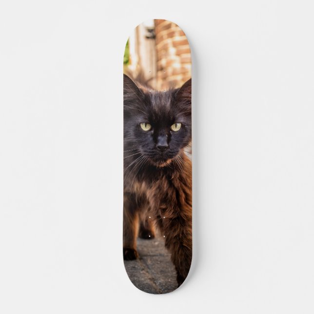 Skateboard Patineta Gato Negro Caminando Cauteloso (Devant)