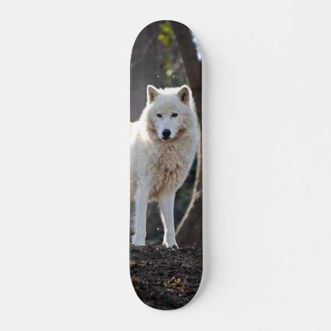 Skateboard Patineta Lobo Blanco En El Bosque (Devant)