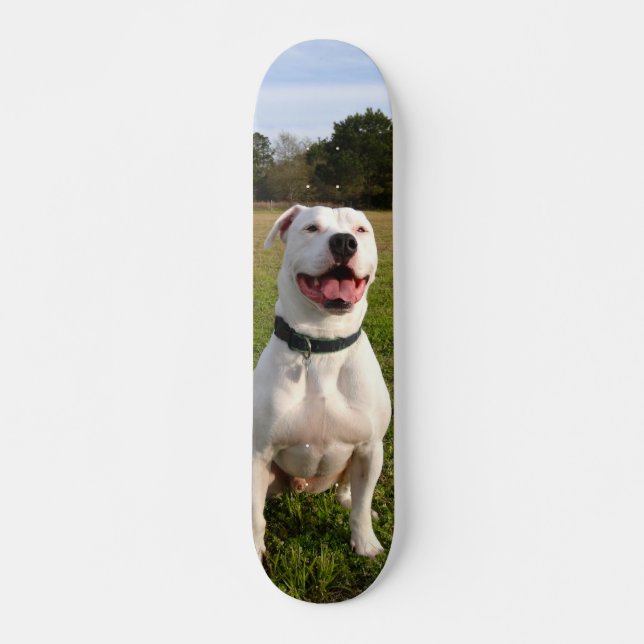 Skateboard Patineta Pitbull Blanco Sentado En El Campo (Devant)