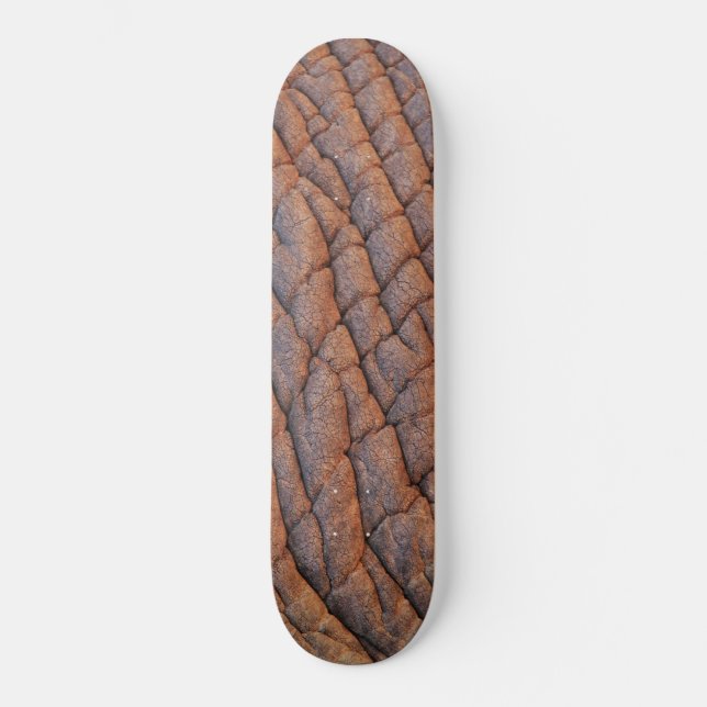Skateboard Peau d'éléphant (Recto)