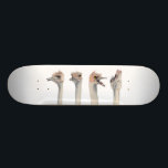 Skateboard Peinture drôle d'autruches "de reine de drame"<br><div class="desc">C'est une peinture d'une autruche que j'ai rencontrée au zoo de Como à St Paul,  manganèse. Il était vraiment expressif et était sujet un grand à prennent des photos de. Plus tard j'ai peint ses différentes expressions dans l'aquarelle.</div>