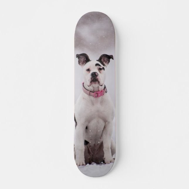 Skateboard Perro Boxer sentado en la nieve (Devant)