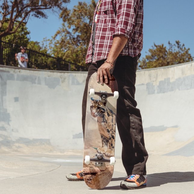 Skateboard photo de léopard nuageux nature faune exotique (Extérieur 2)