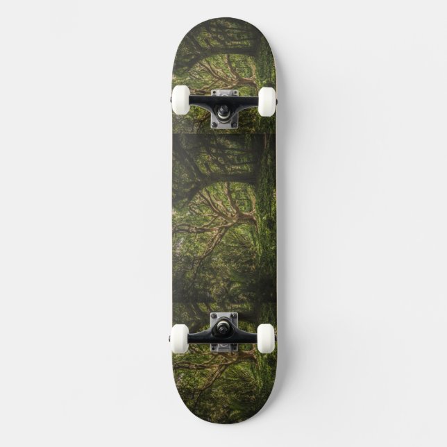 Skateboard Photo du motif de la forêt verte (Recto)