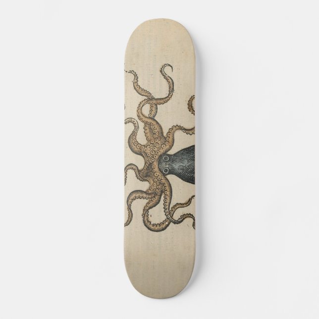 Skateboard Pieuvre Kraken Antique Faune Marine Côtière (Recto)
