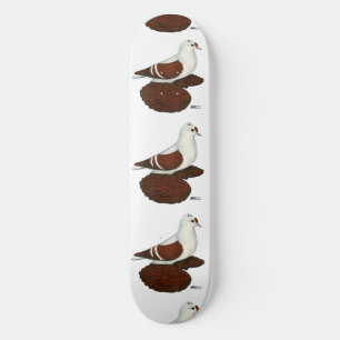 Skateboard Pigeon à aile rouge