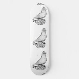 Skateboard Pigeon moine russe