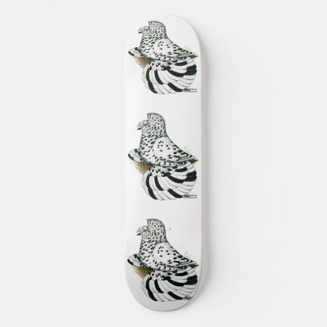Skateboard Pigeon Trompette Léger Splash (Recto)