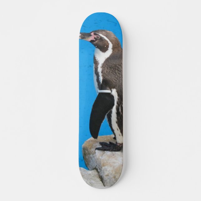 Skateboard Pingouin en parc de Harewood (Devant)