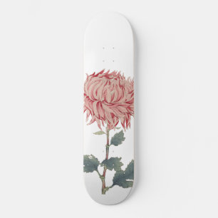 Skateboard Pink Chrysanthemum Globe Flower Skboard